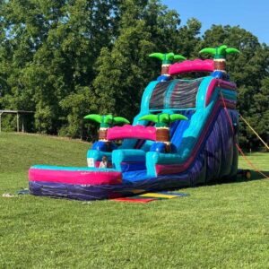 Purple & Pink Water Slide $400/day