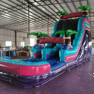 Water Slide for Kids Purple Pink